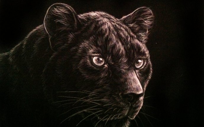 Black panther drawing - Google Search … | Pinteres…