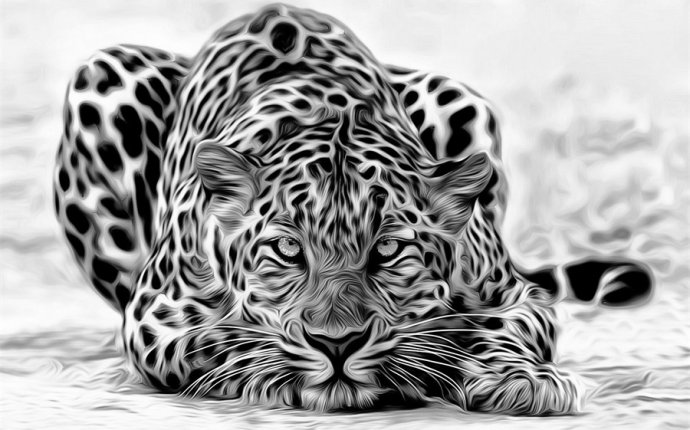 Леопард Белый