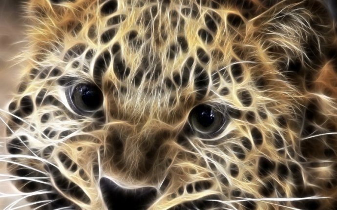 Картинки Леопарда